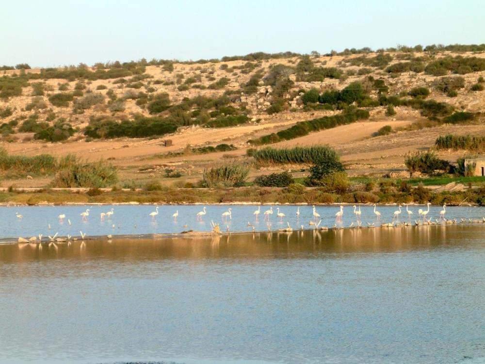 Appartamento Dar Doukkala Oualidia Esterno foto